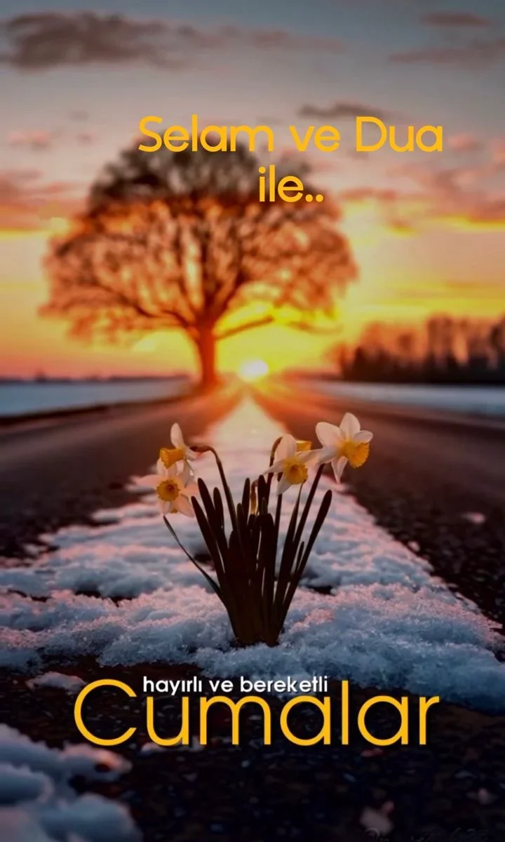 9f3c9b40b88e997f9f631a6027a79b98.webp