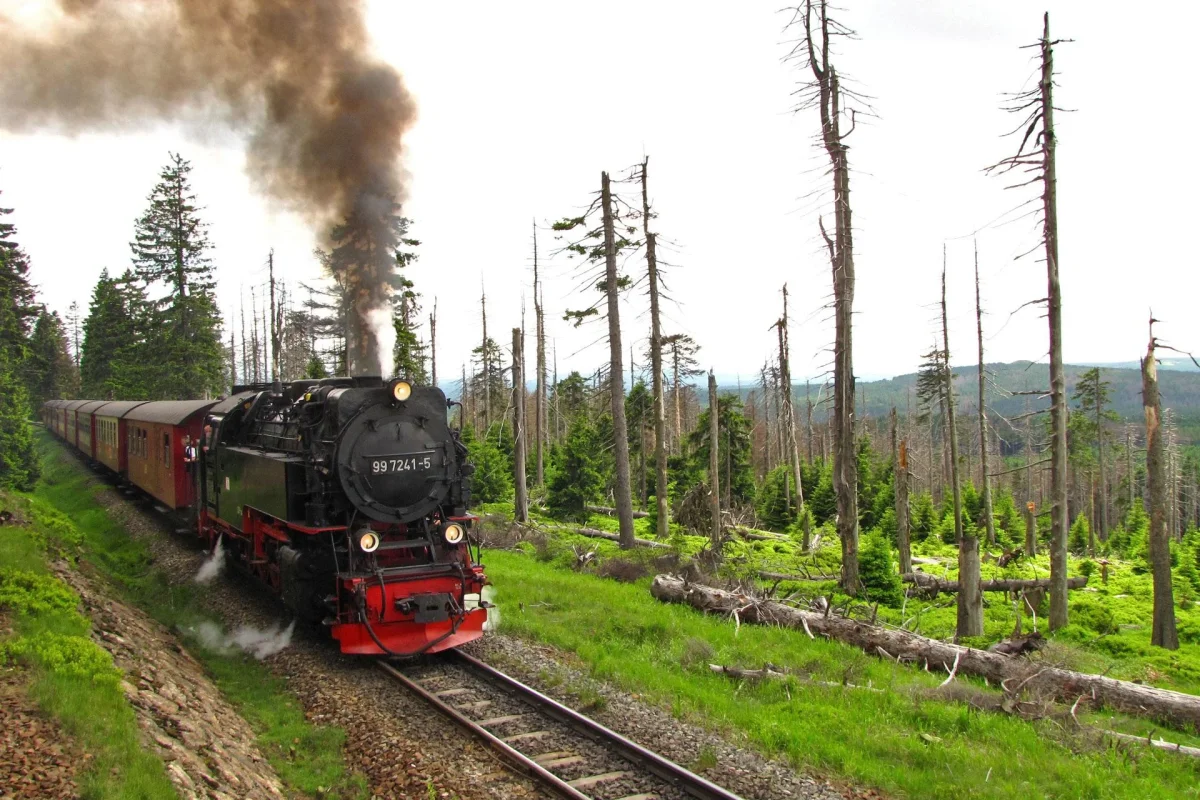 789.webp 789.webp