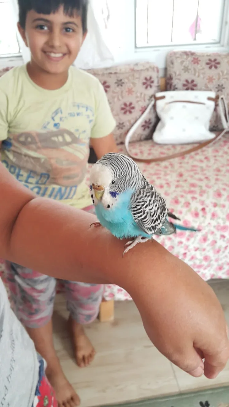IMG-20181015-WA0003.webp