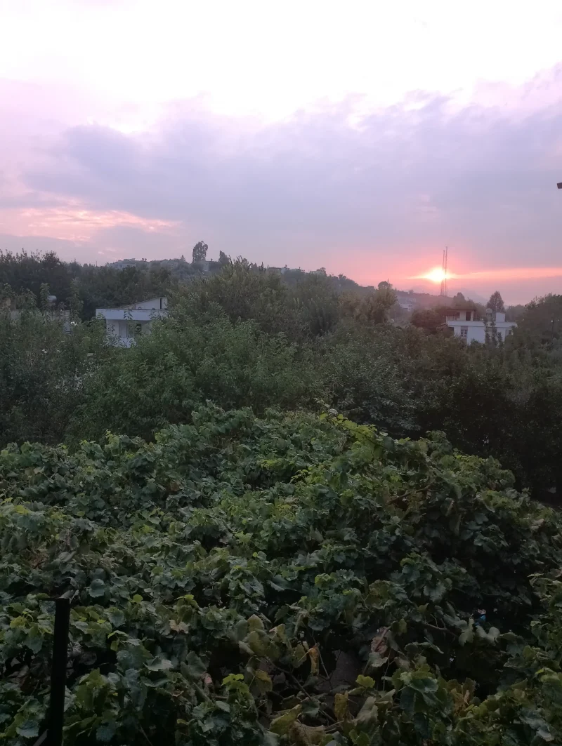 IMG_20231015_174208.webp