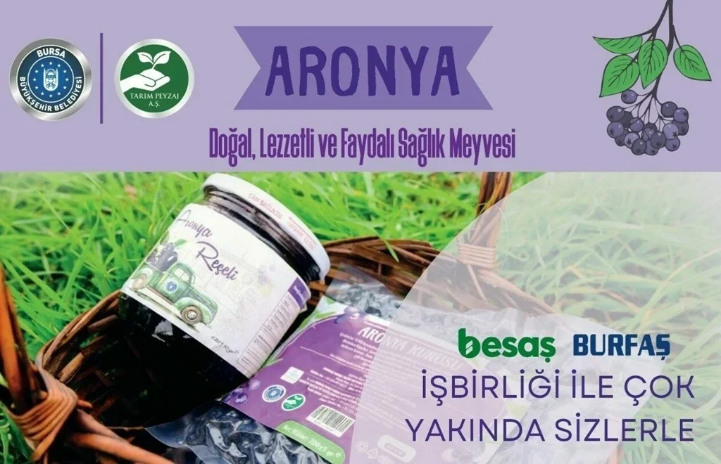 besas_aronya_receli_1.webp