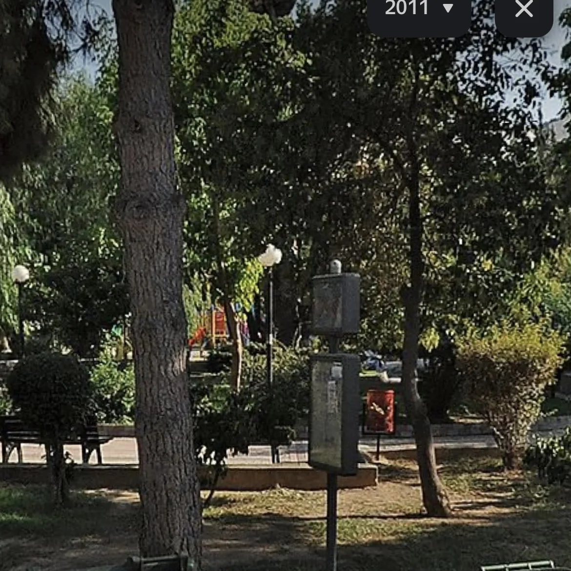 IMG_6555.jpeg